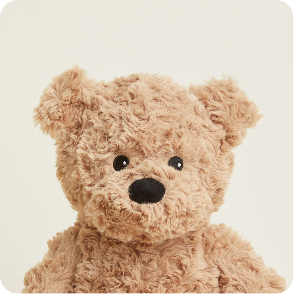 Bruno the Bear