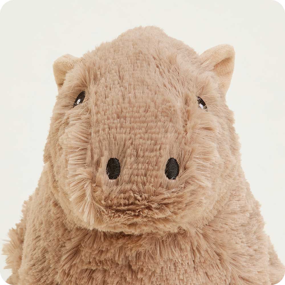 Cappy the Capybara