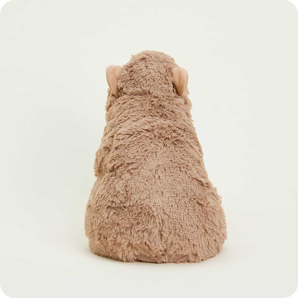 Cappy the Capybara