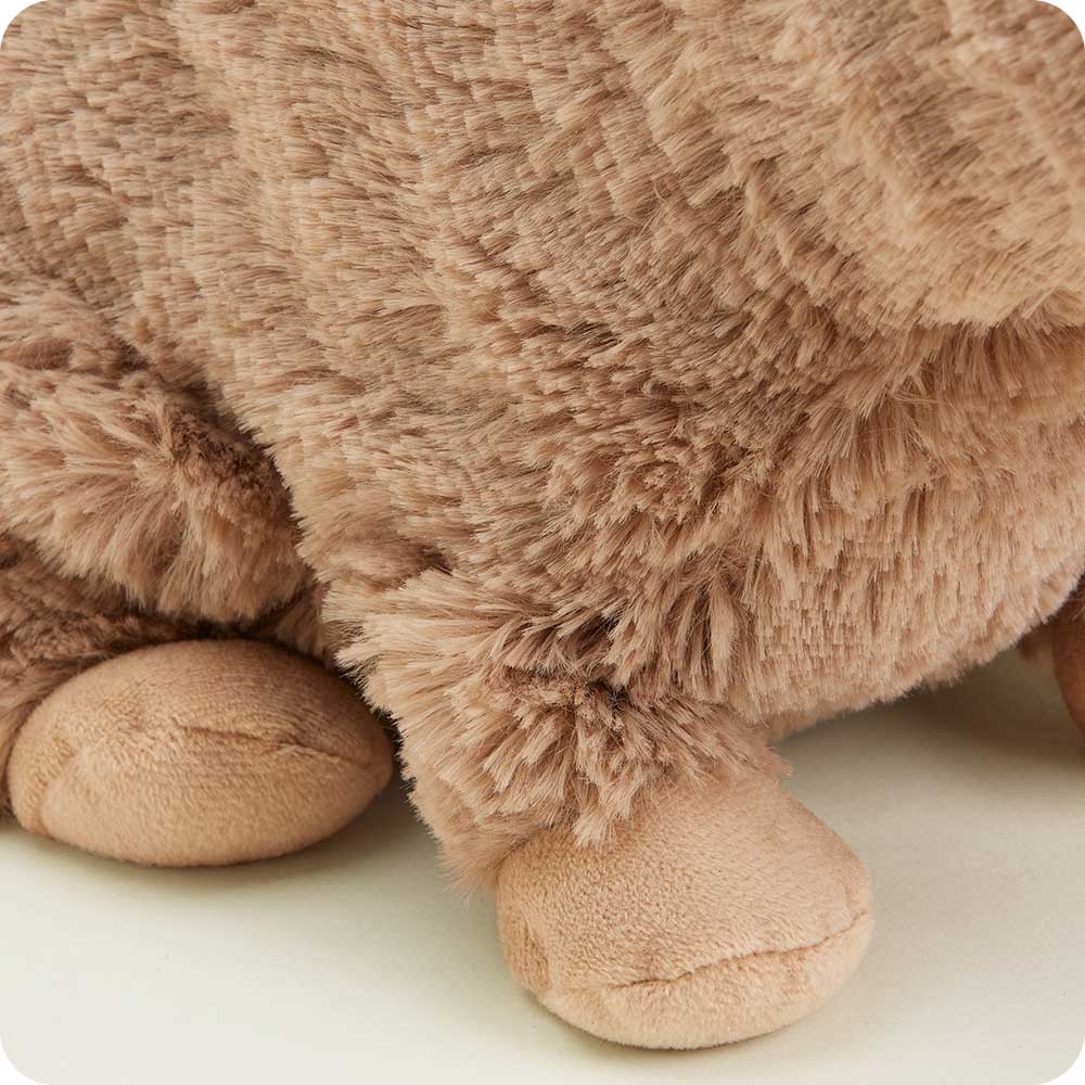 Cappy the Capybara