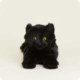 Luna the Black Cat