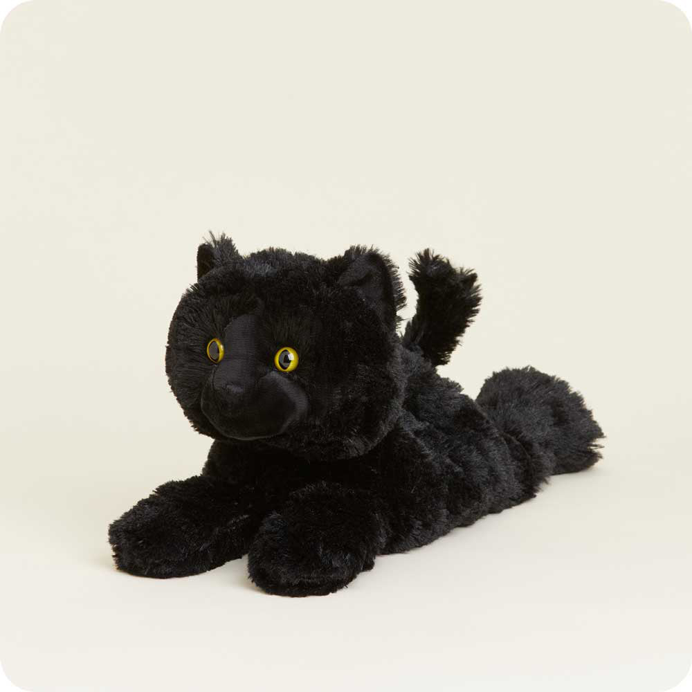 Luna the Black Cat