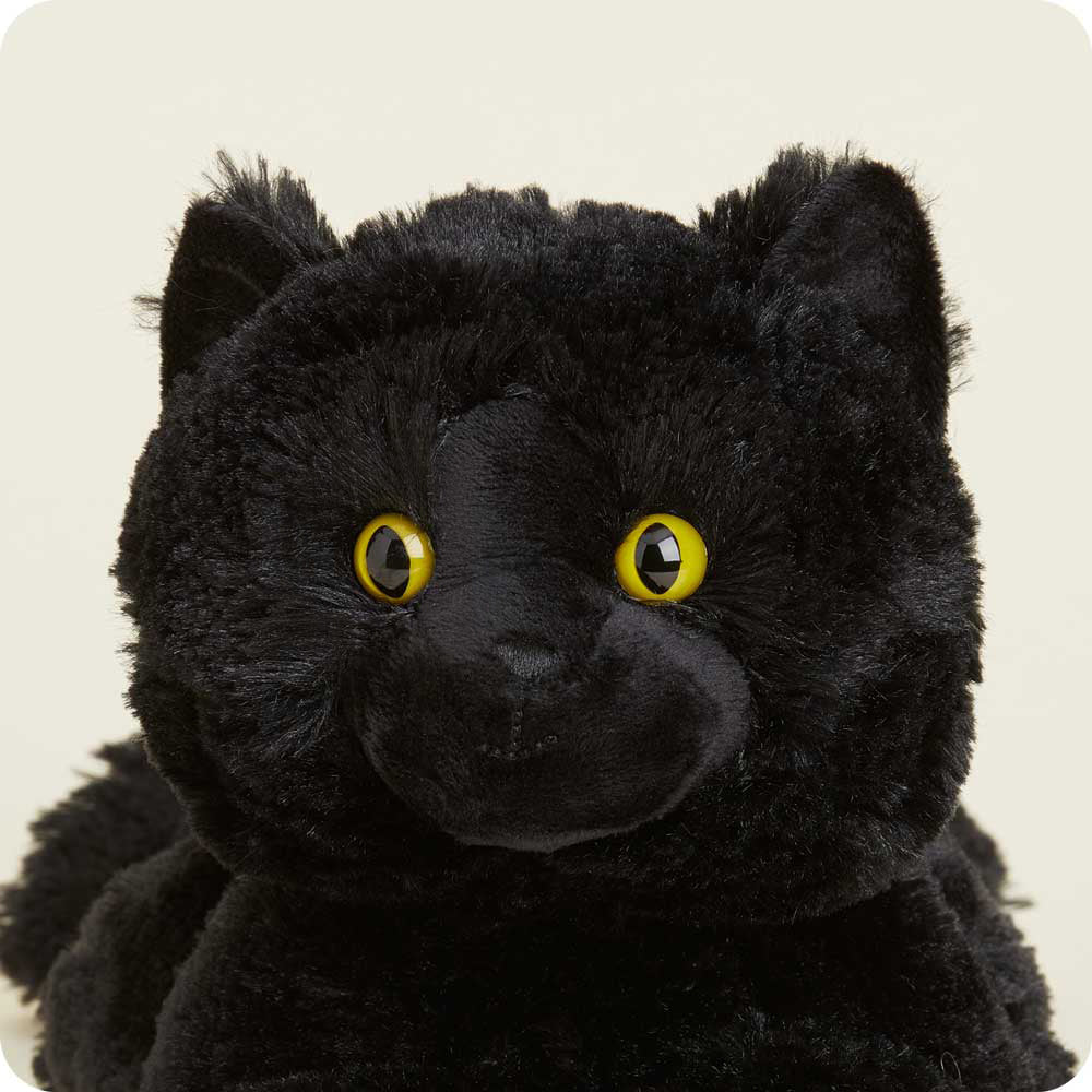 Luna the Black Cat