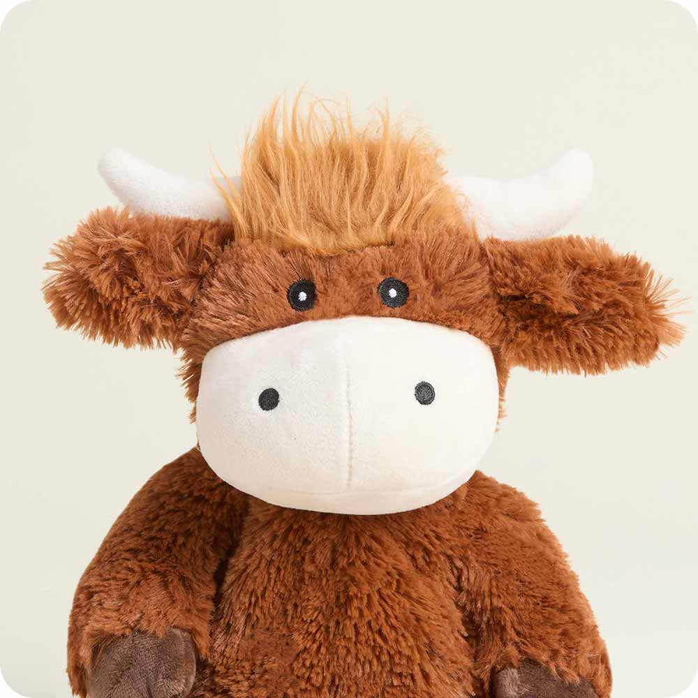Hamish the Highland Cow