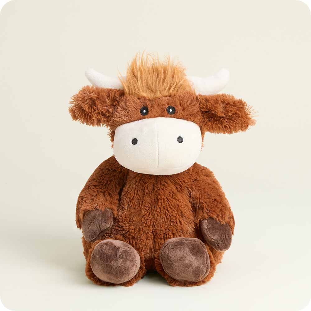 Hamish the Highland Cow