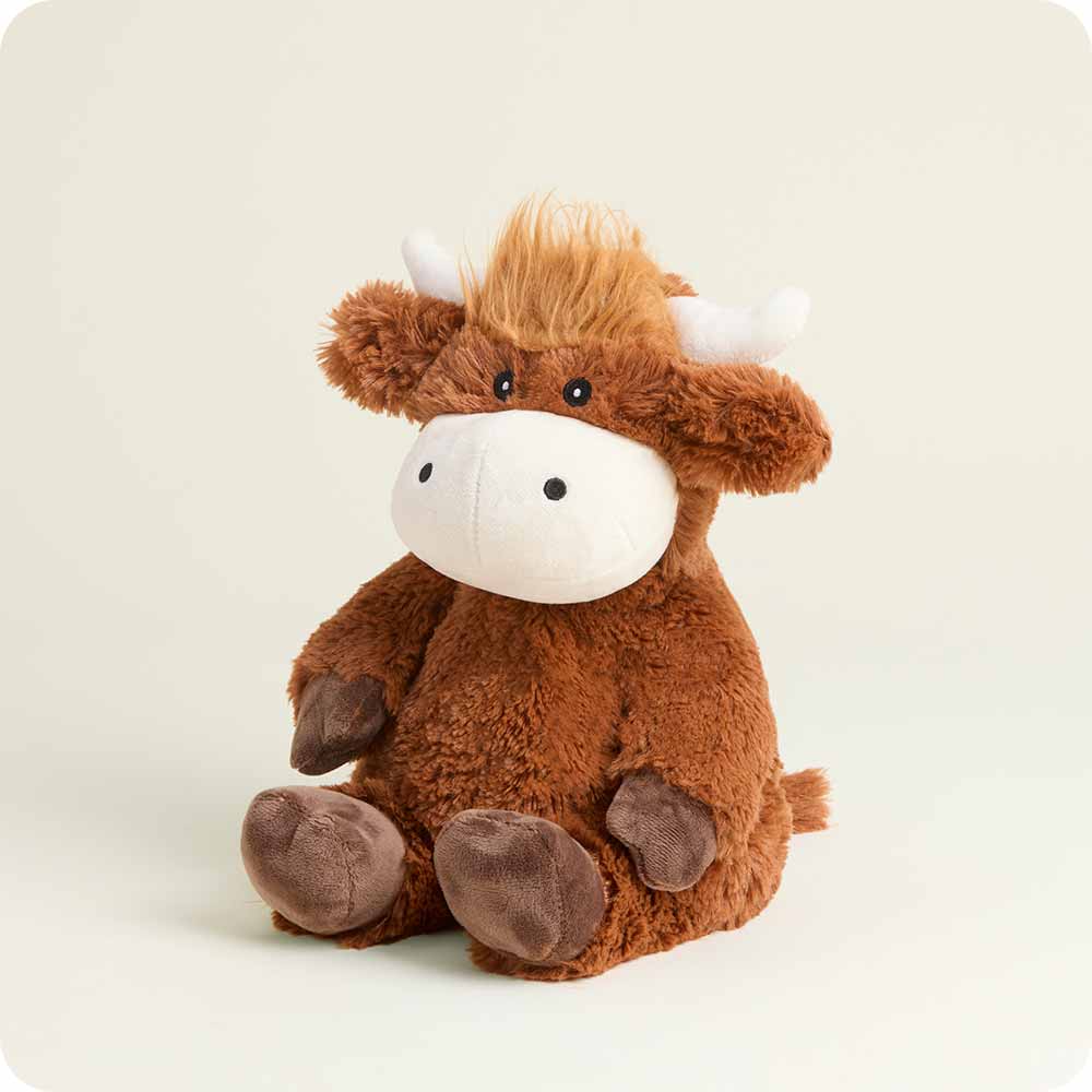 Hamish the Highland Cow