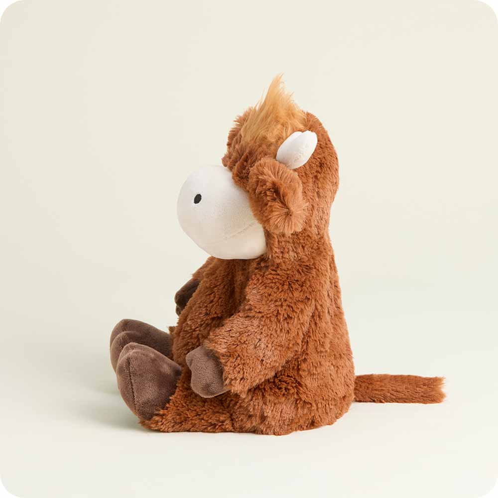 Hamish the Highland Cow