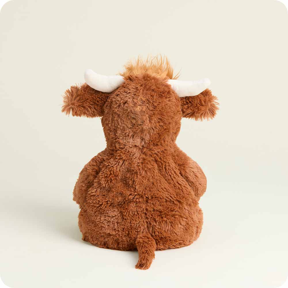 Hamish the Highland Cow