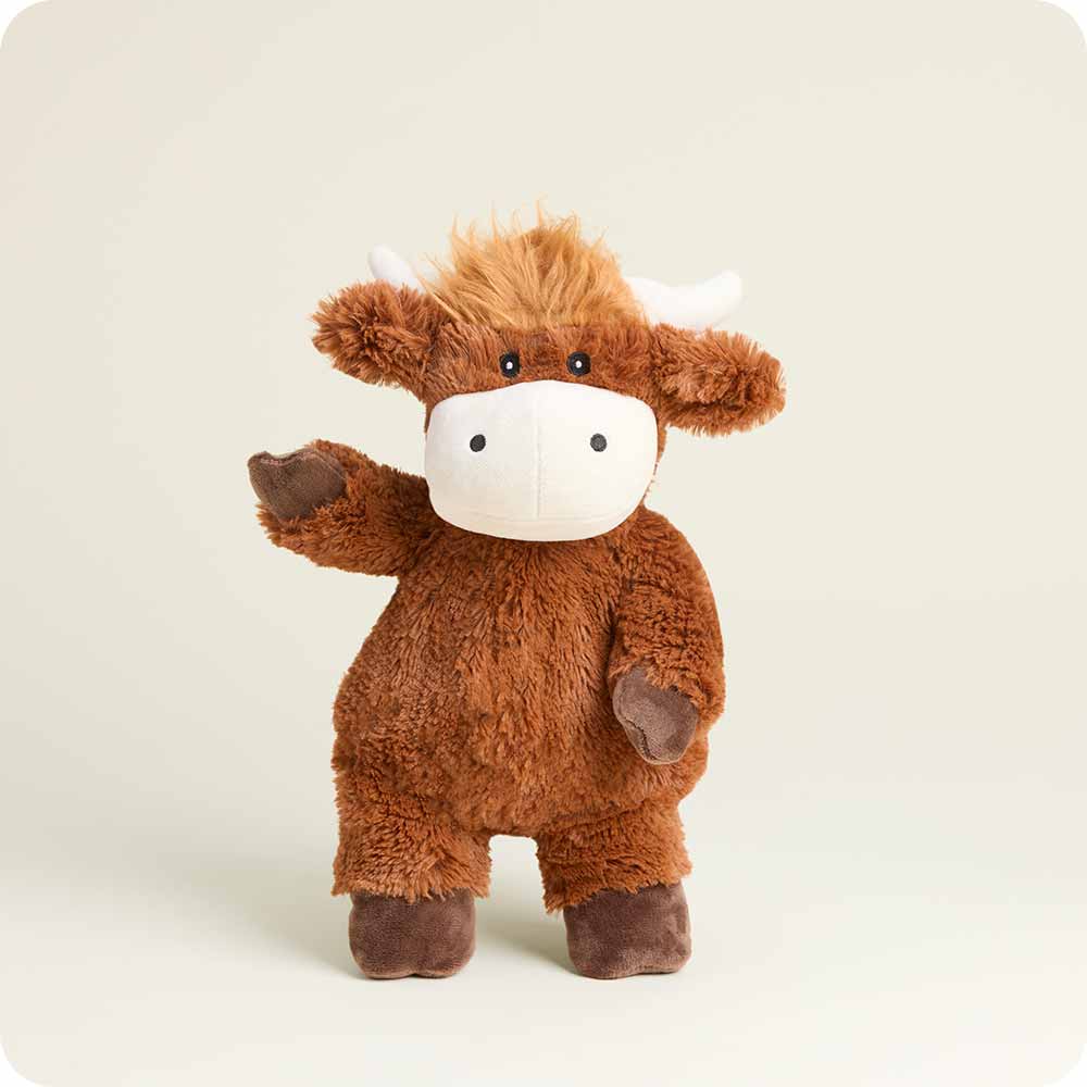 Hamish the Highland Cow