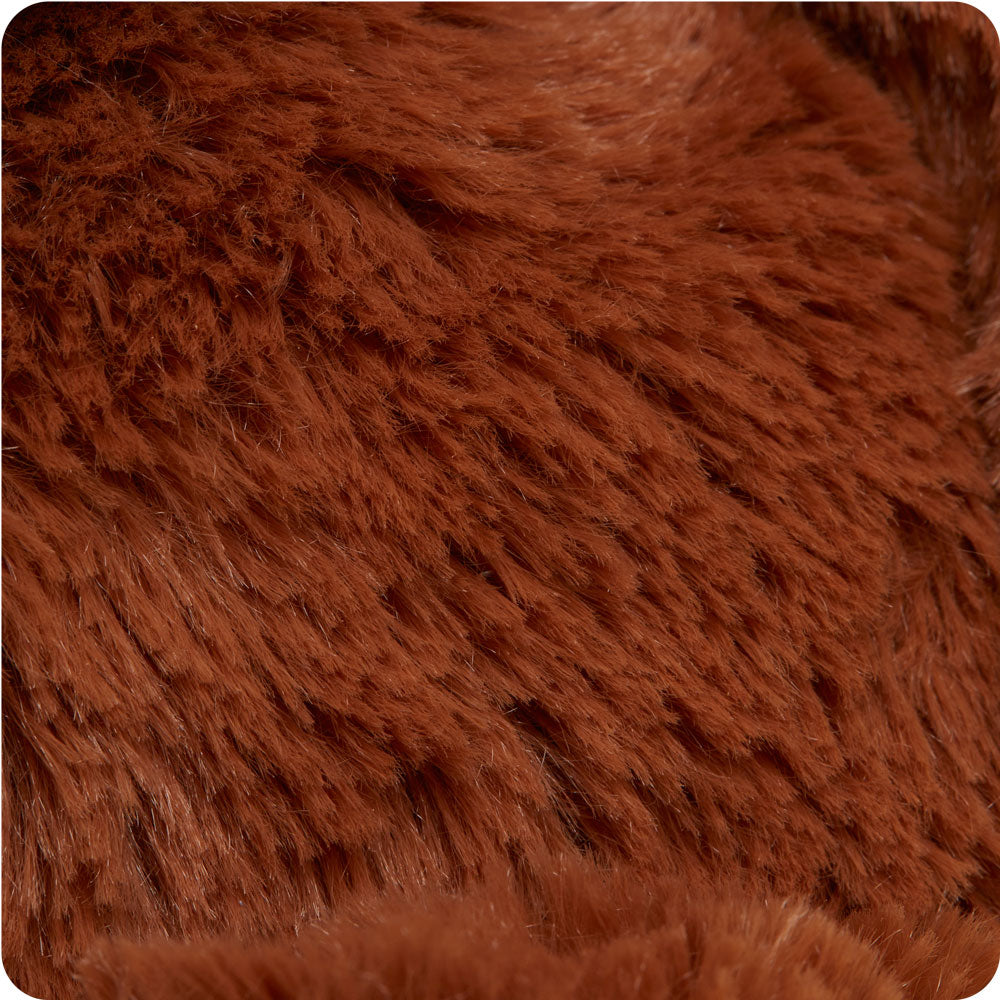Hamish the Highland Cow