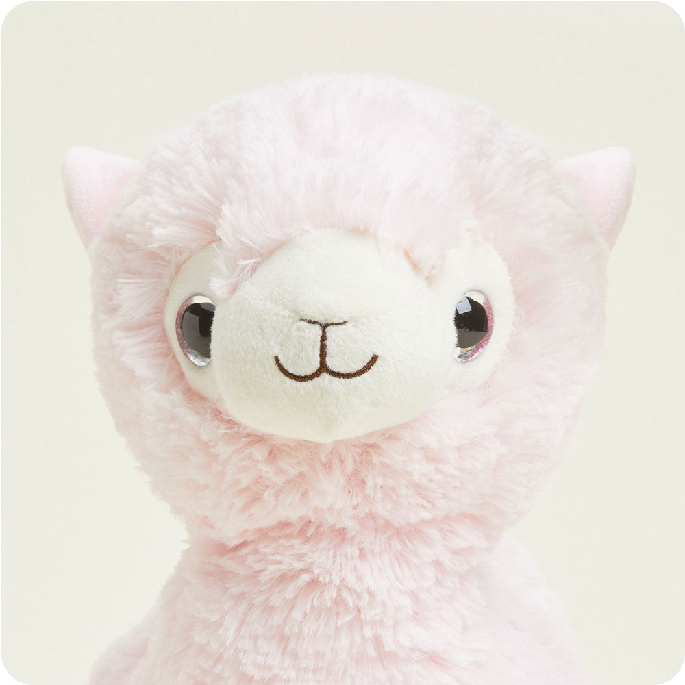 Lola the Llama