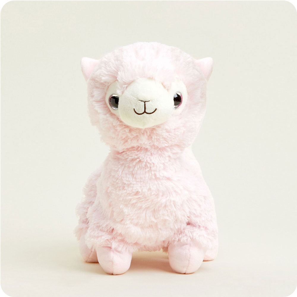 Lola the Llama