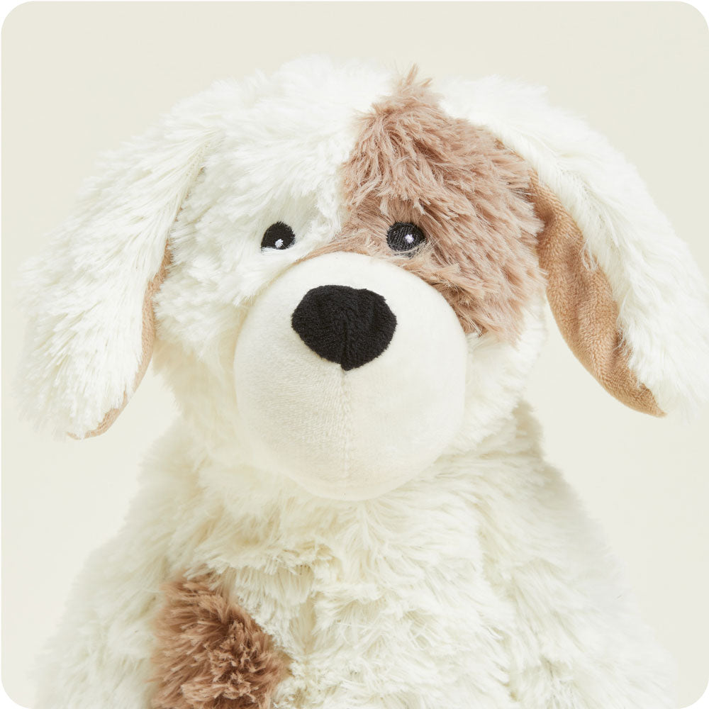 Buddy the Puppy