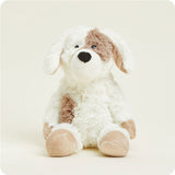 Buddy the Puppy