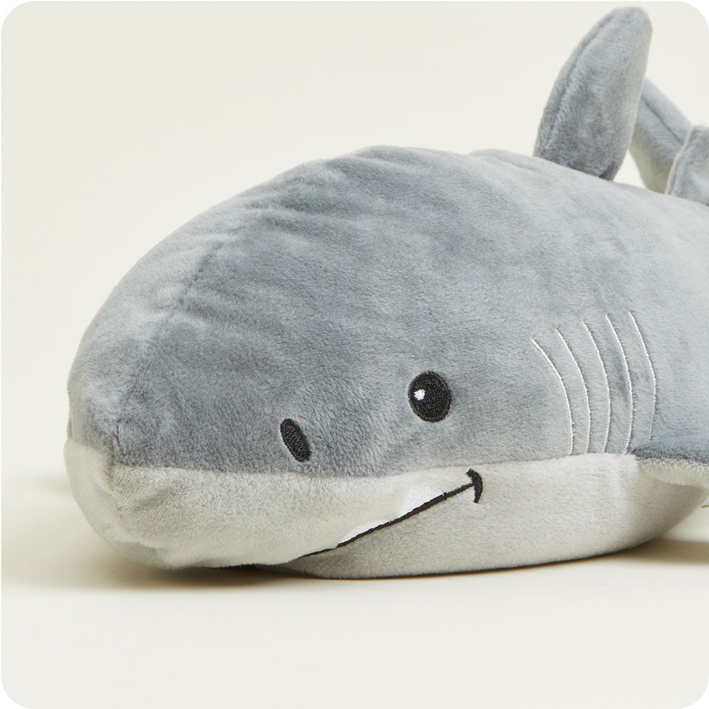 Finn the Shark