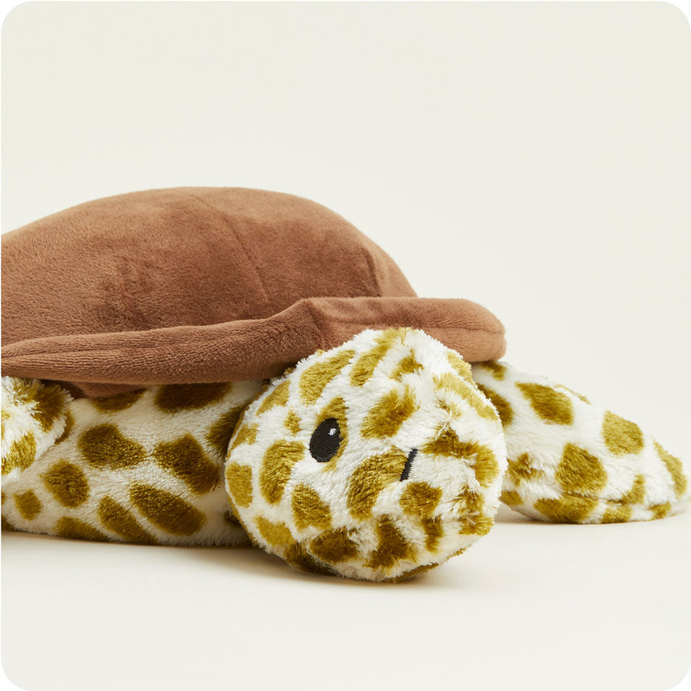 Toby the Turtle