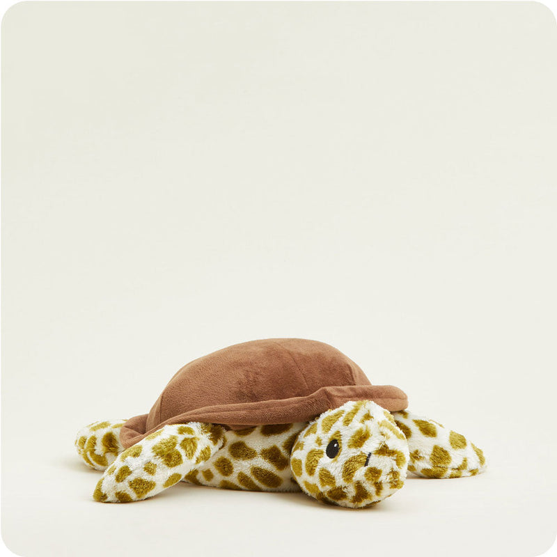 Toby the Turtle