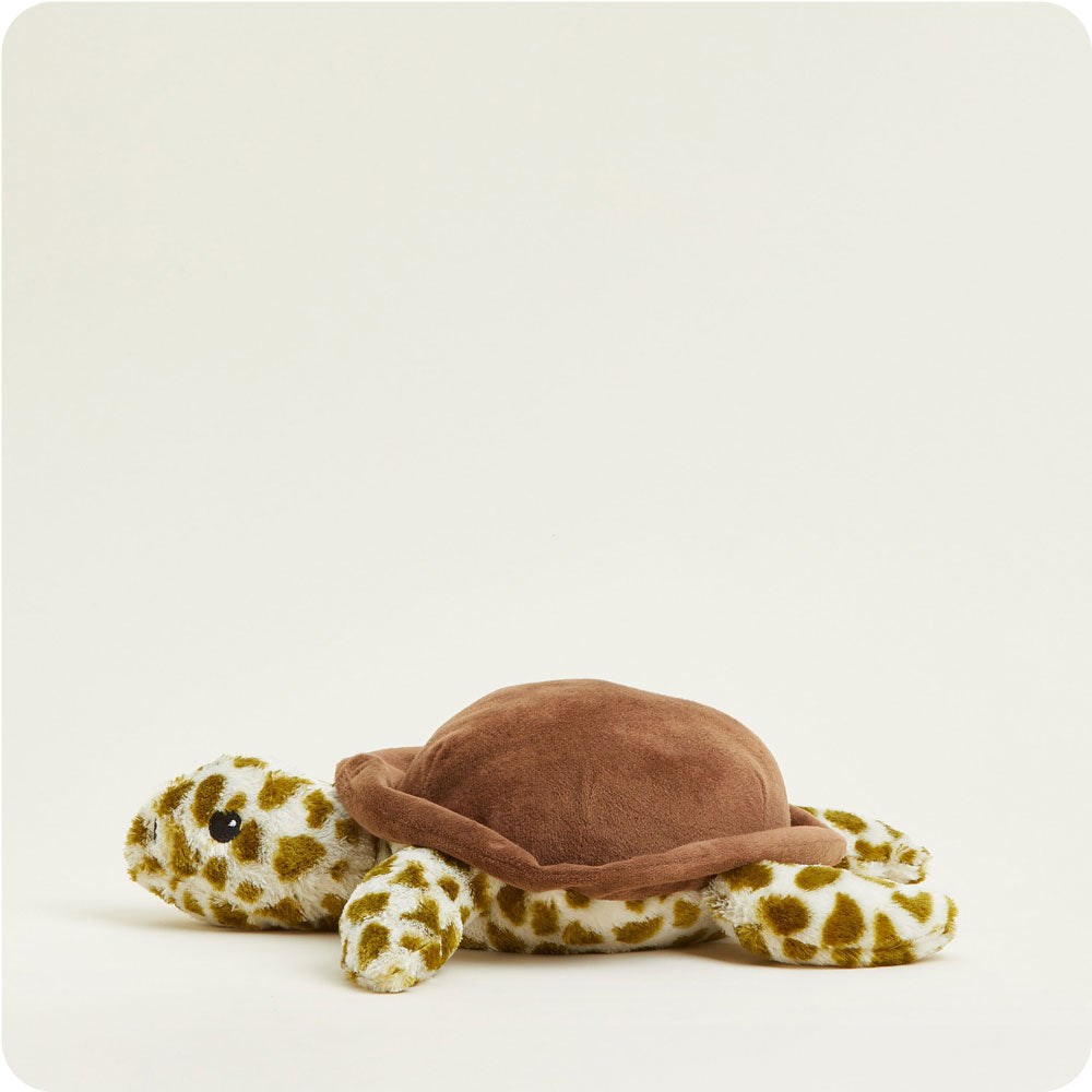 Toby the Turtle
