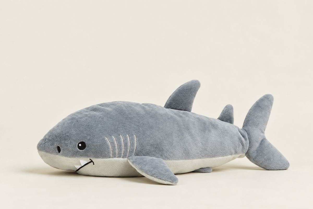 Finn the Shark
