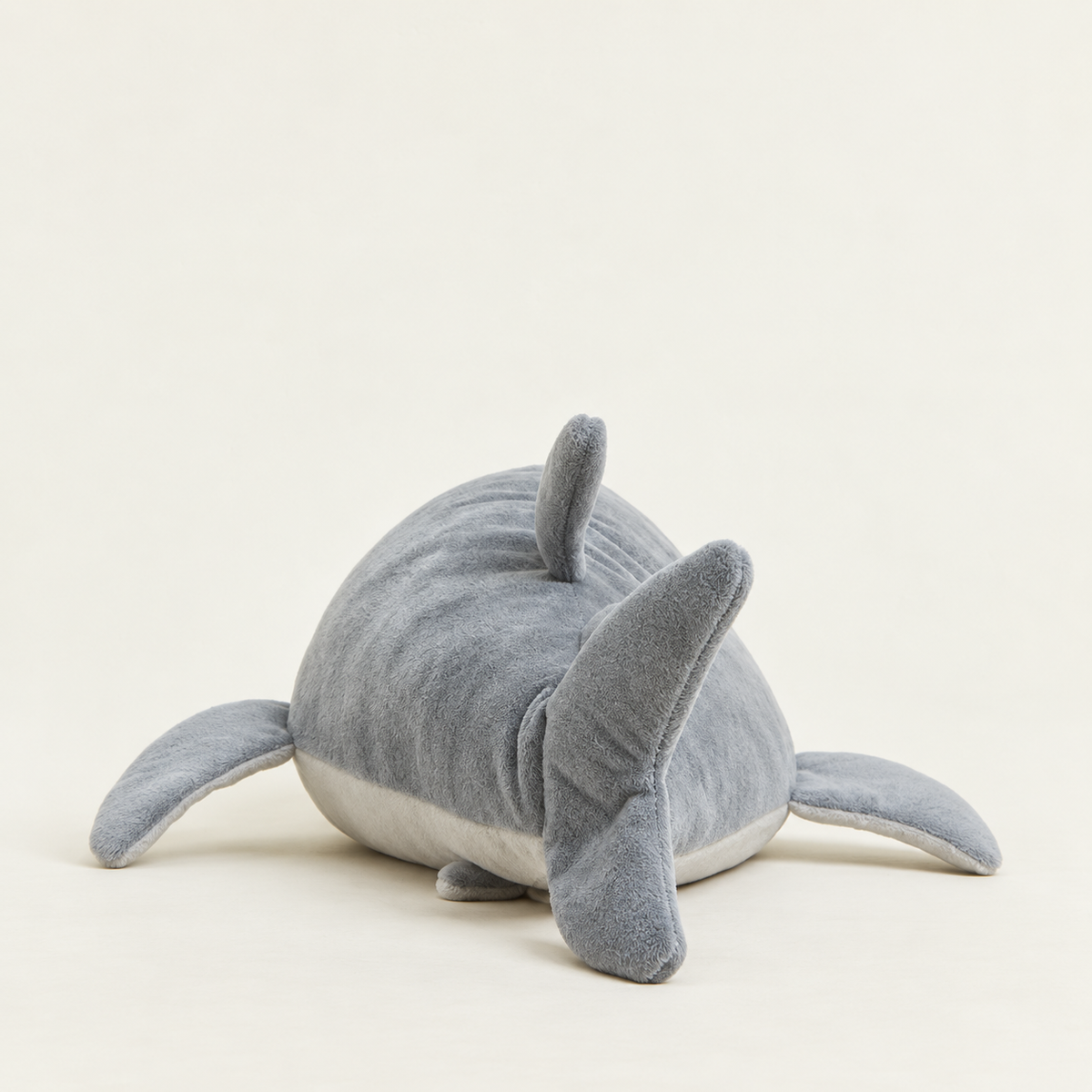 Finn the Shark