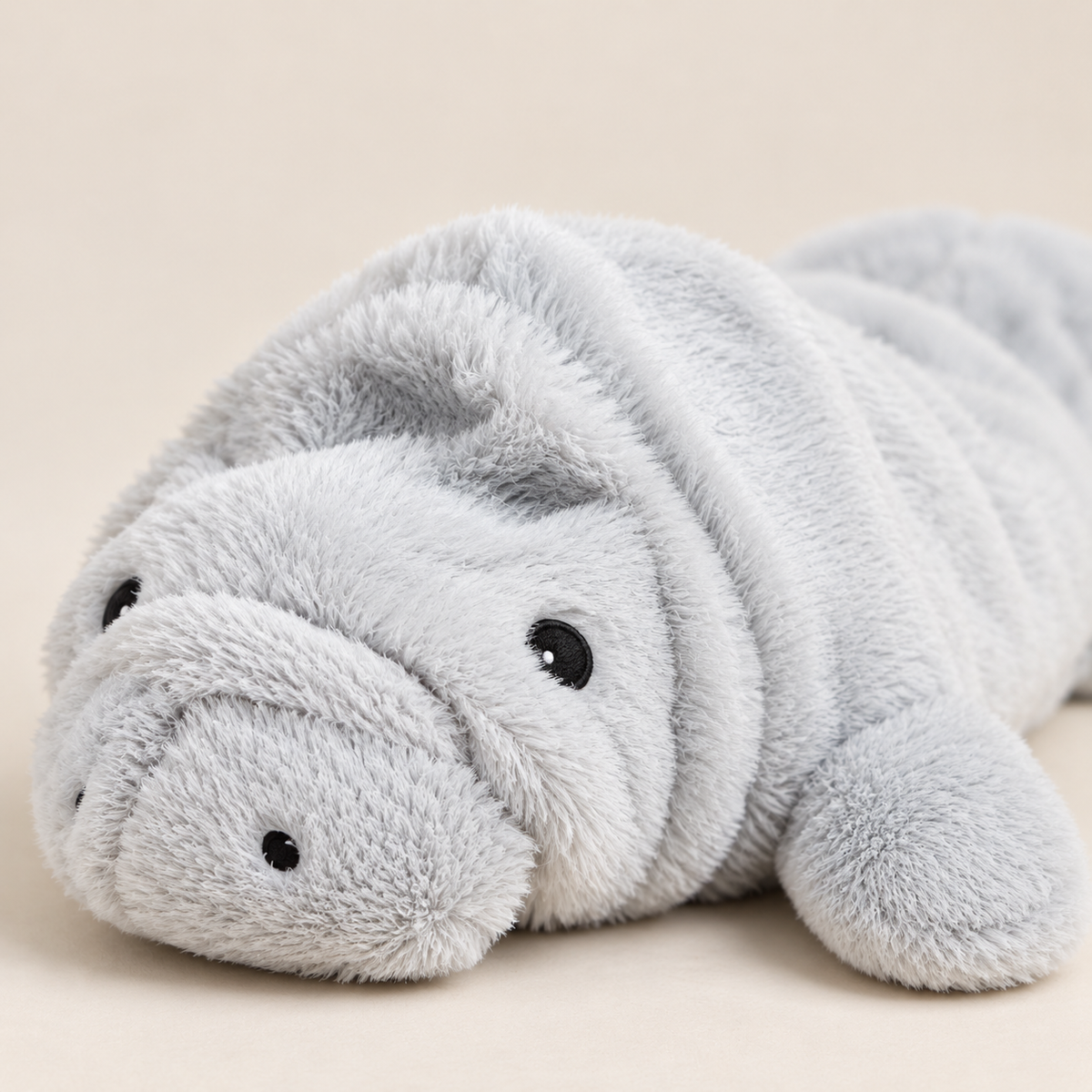Manny the Manatee