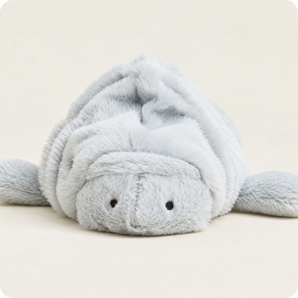 Manny the Manatee