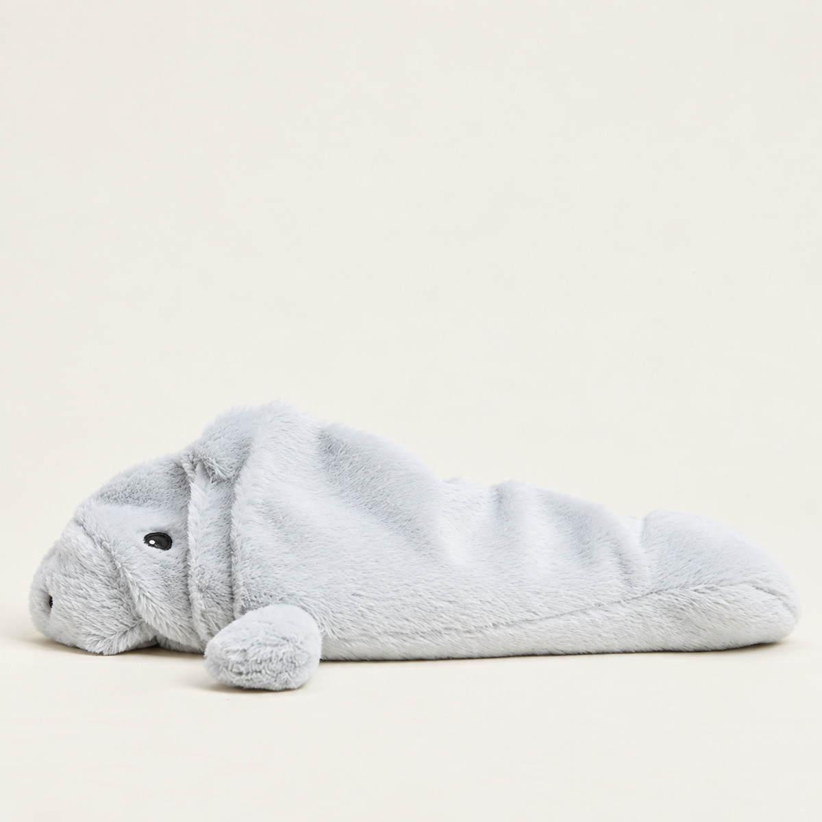 Manny the Manatee