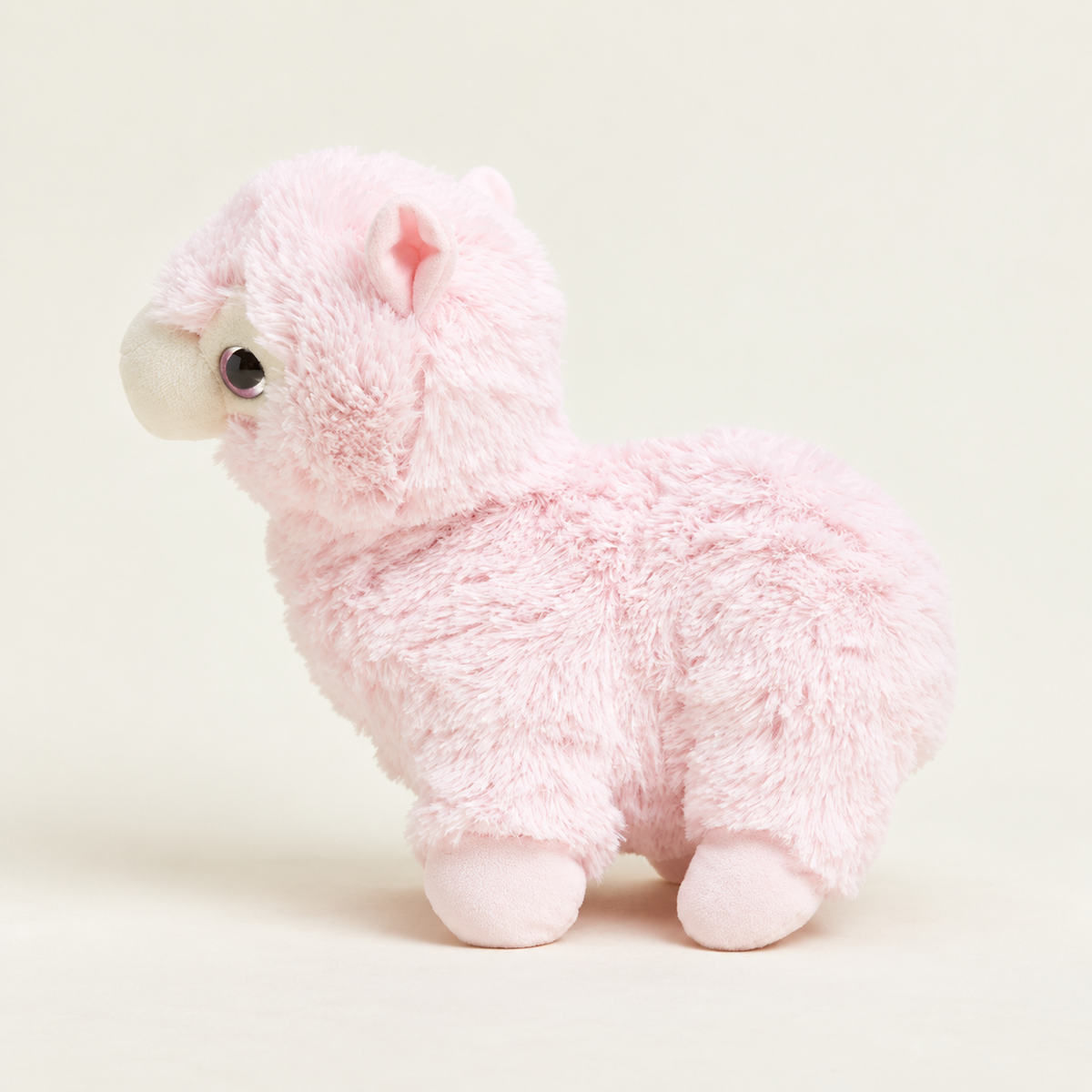 Lola the Llama