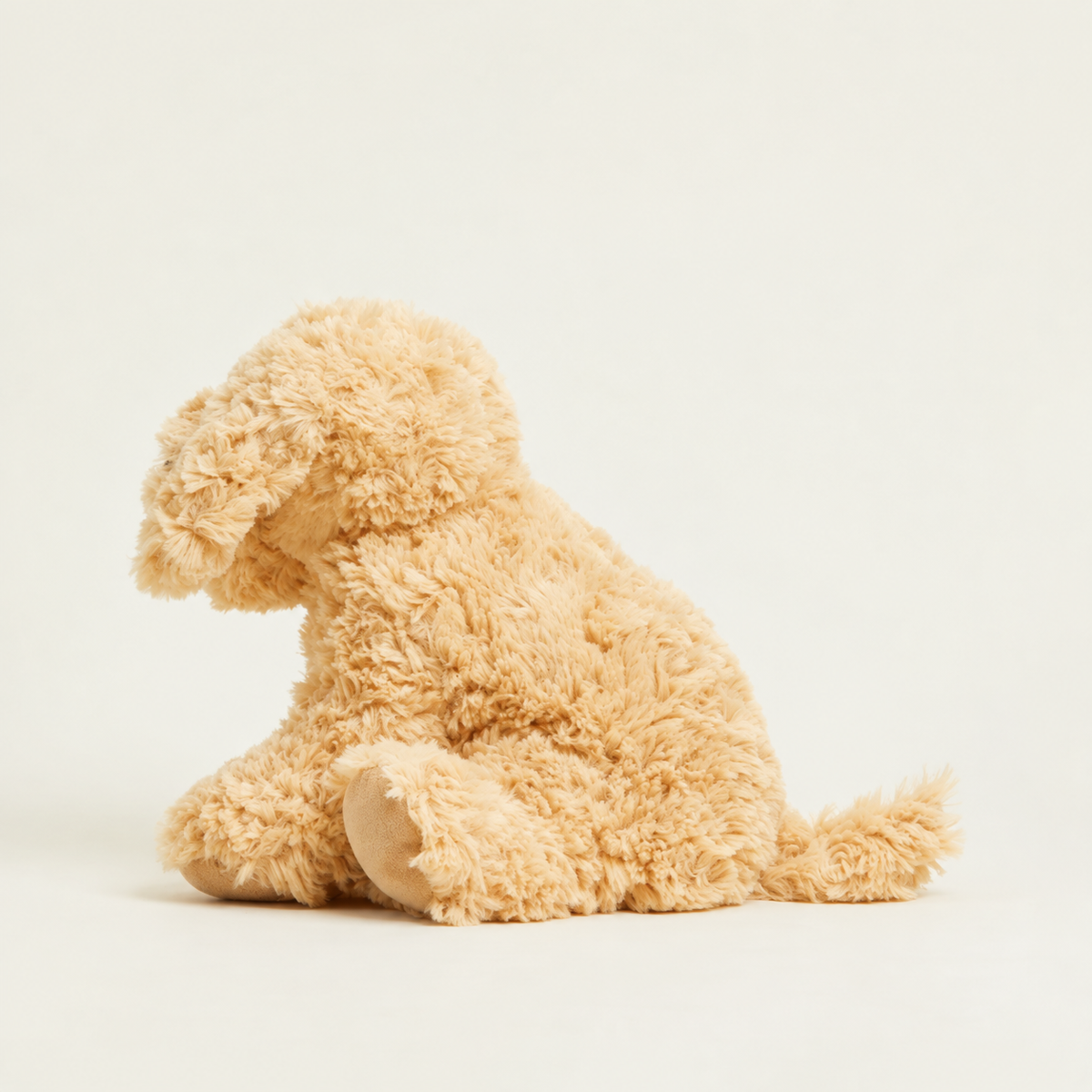 Cooper the Golden Pup