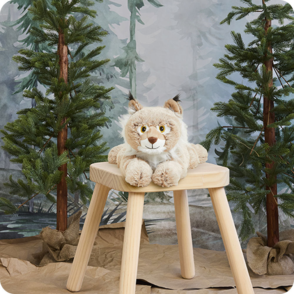 Bobby the Bobcat